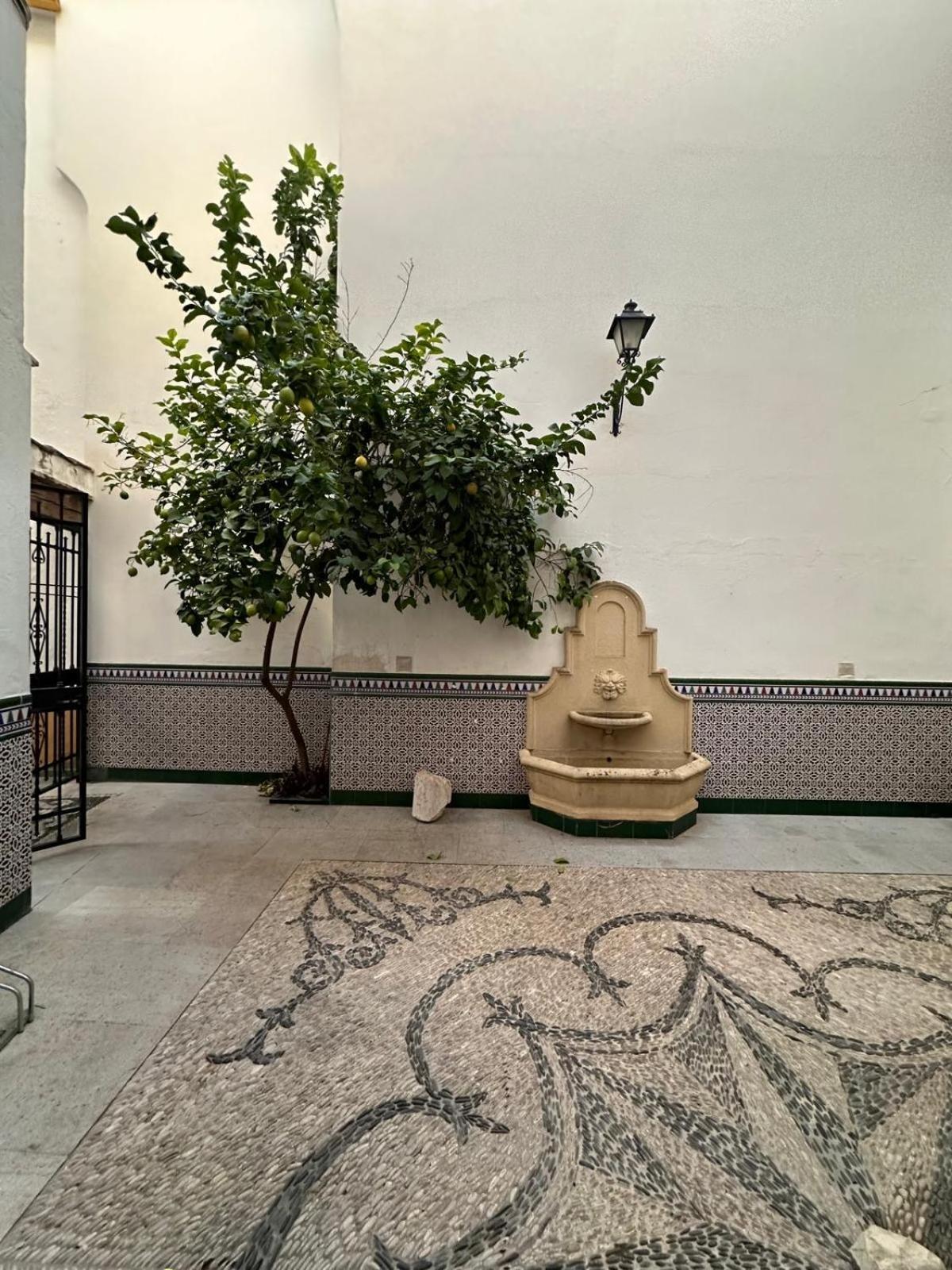 Appartement Au Centre De Gordoba Córdoba Exteriör bild
